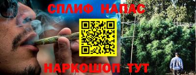 дмт Бузулук