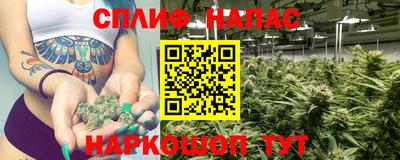 дмт Бузулук