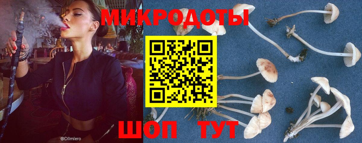 Ялта  Псилоцибиновые грибы Psilocybine cubensis  Вход с VPN 
